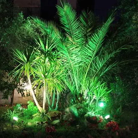 Artemis 4* סטפילוס