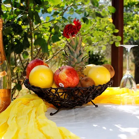 Artemis 4* סטפילוס