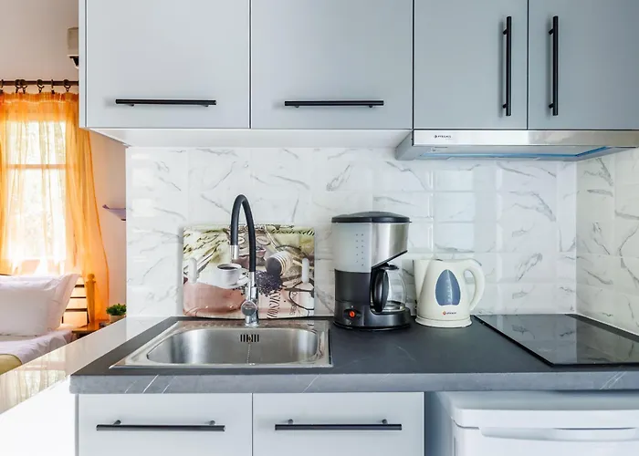 Apart Otel Artemis Stafylos